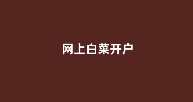 华人策略