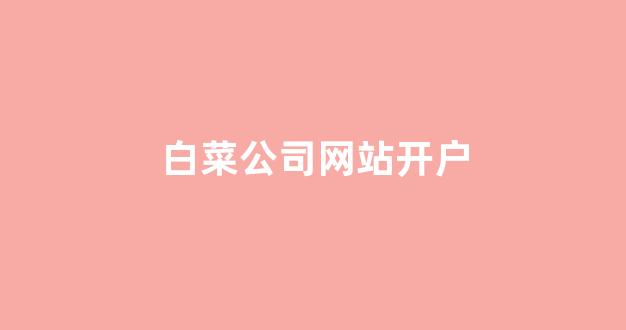 白菜系统登录平台